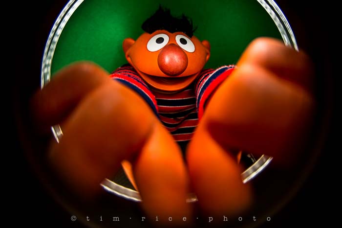 Yr5•113-365•1573•Looking at Ernie