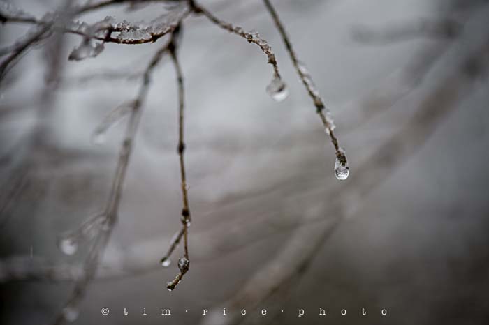 Yr5•114-365•1571•Snow Line