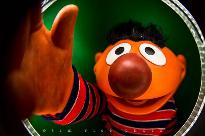 Yr5•114-365•1573•Looking at Ernie