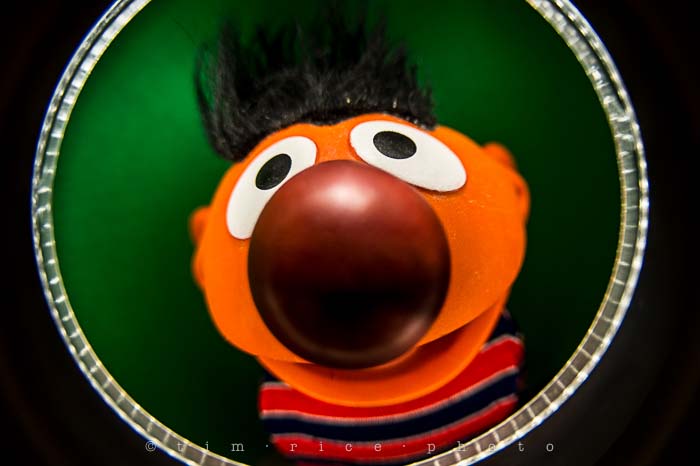 Yr5•115-365•1573•Looking at Ernie