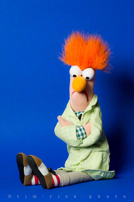 Yr5•115-365•1575•Strartled Beaker