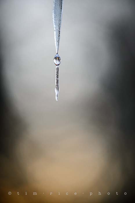 Yr5•115-365•1576•Icicle End