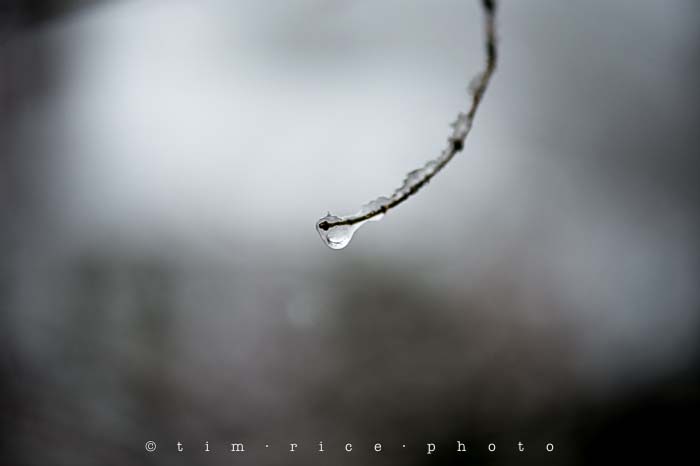 Yr5•116-365•1571•Snow Line