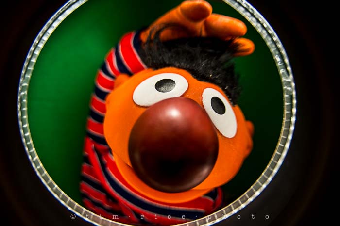 Yr5•116-365•1573•Looking at Ernie