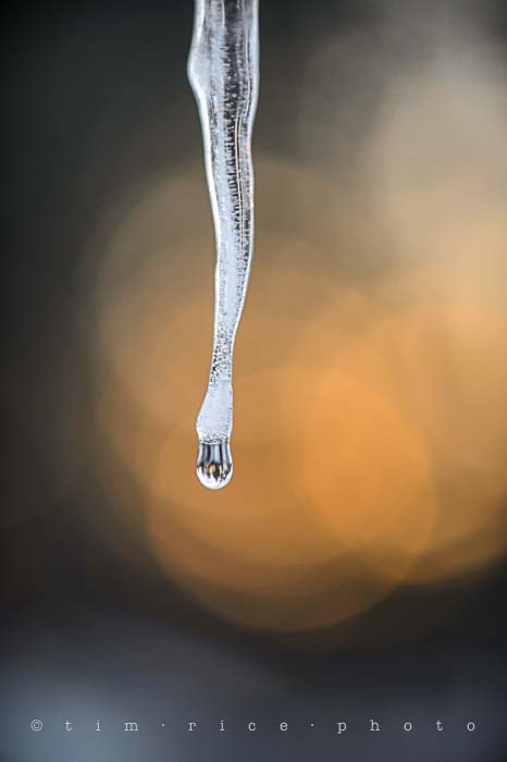 Yr5•116-365•1576•Icicle End