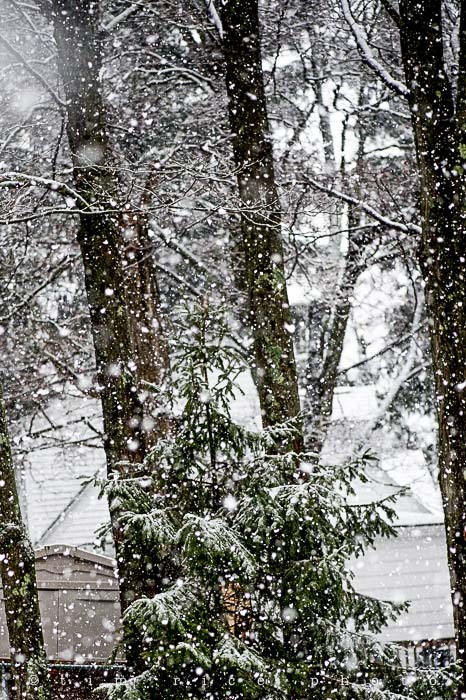 Yr5•117-365•1571•Snow Line