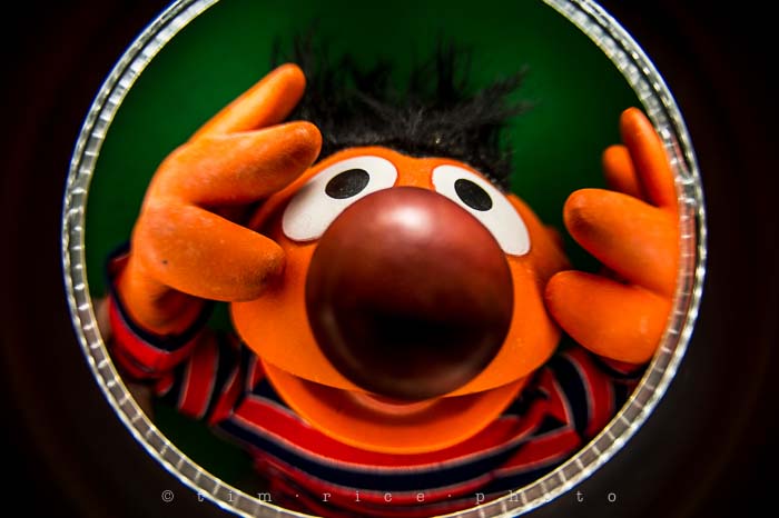 Yr5•117-365•1573•Looking at Ernie