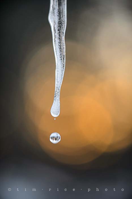 Yr5•117-365•1576•Icicle End