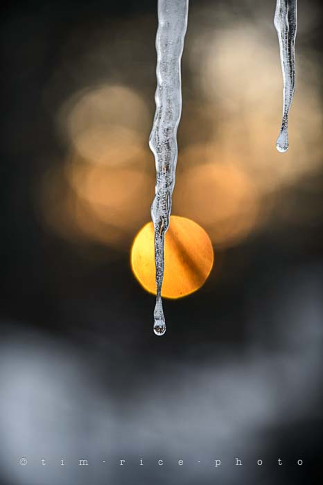 Yr5•118-365•1576•Icicle End