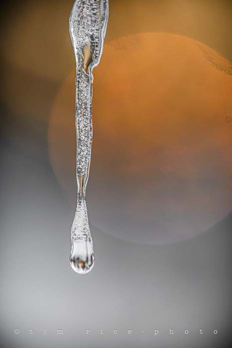 Yr5•119-365•1576•Icicle End