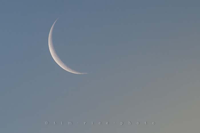 Yr5•120/365•1581 Good Morning Moon (Shine) January 28, 2014