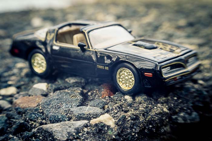 Yr5•124-365•1584•Memorable Cars