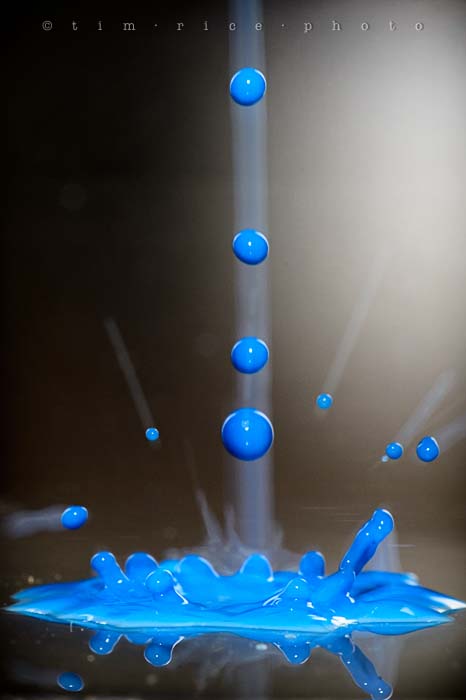 Yr5•126-365•1587•Kitchen Blue