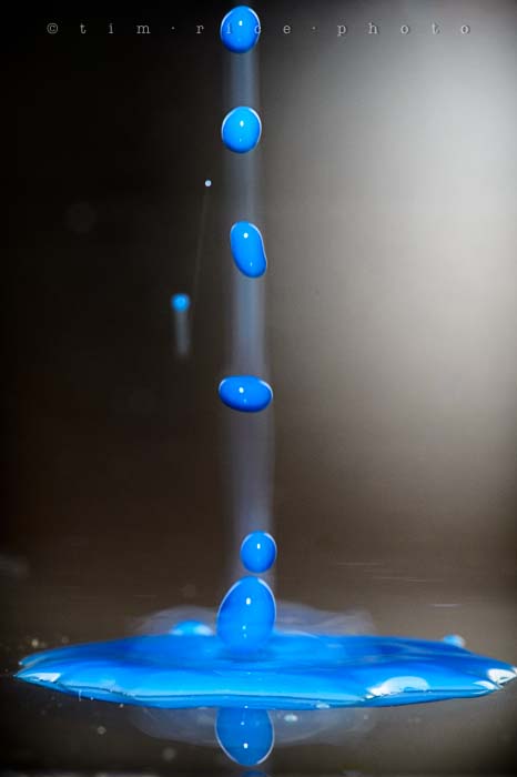 Yr5•127-365•1587•Kitchen Blue