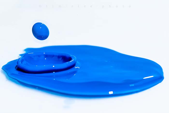 Yr5•128-365•1587•Kitchen Blue