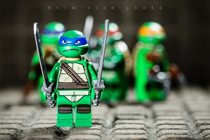 Yr5•128-365•1588•Heroes in a Half-Shell