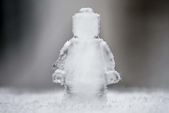 Yr5•128-365•1589•FrozenBoy