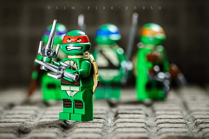 Yr5•129-365•1588•Heroes in a Half-Shell