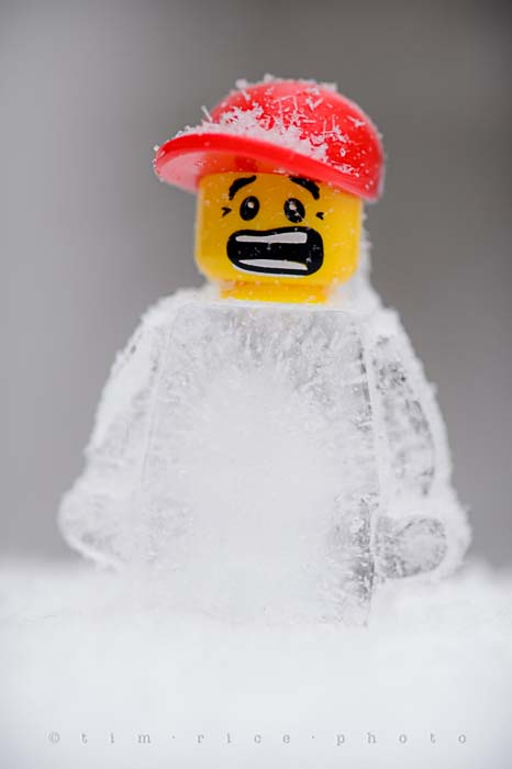 Yr5•129-365•1589•FrozenBoy