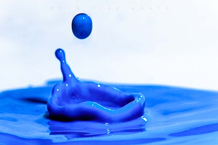 Yr5•130-365•1587•Kitchen Blue