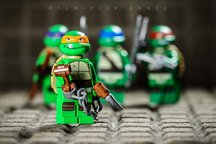 Yr5•130-365•1588•Heroes in a Half-Shell