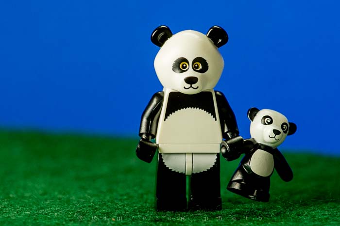 Yr5•130/365•1591 The Panda Guy February 7, 2014