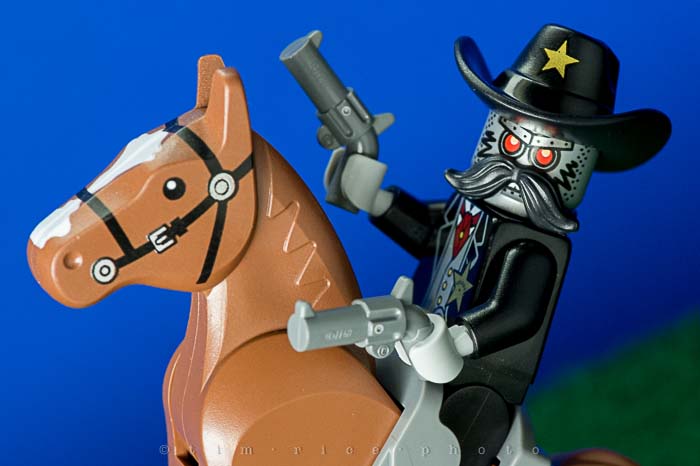 Yr5•131-365•1591•The Panda Guy