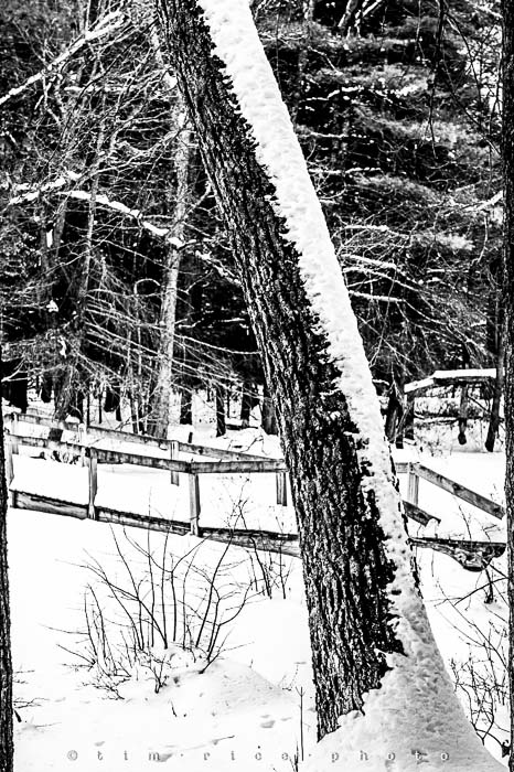 Yr5•135-365•1593•A Winter Falls