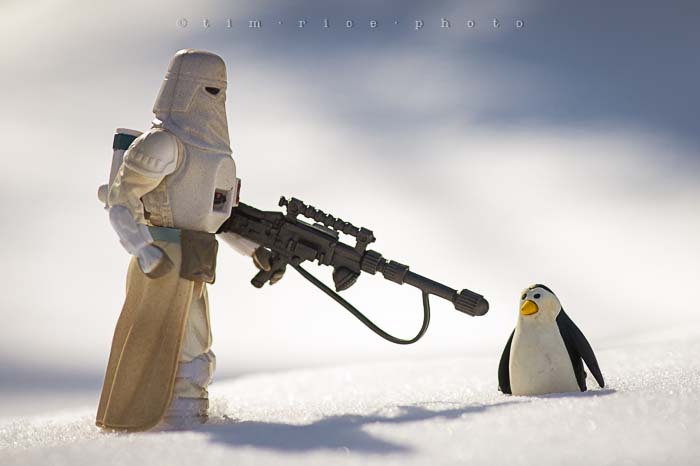 Yr5•135-365•1596•Let's End This