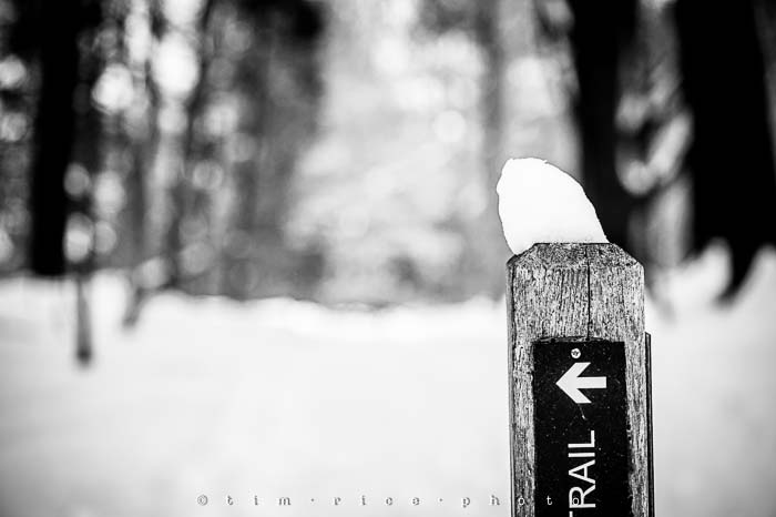 Yr5•137-365•1593•A Winter Falls