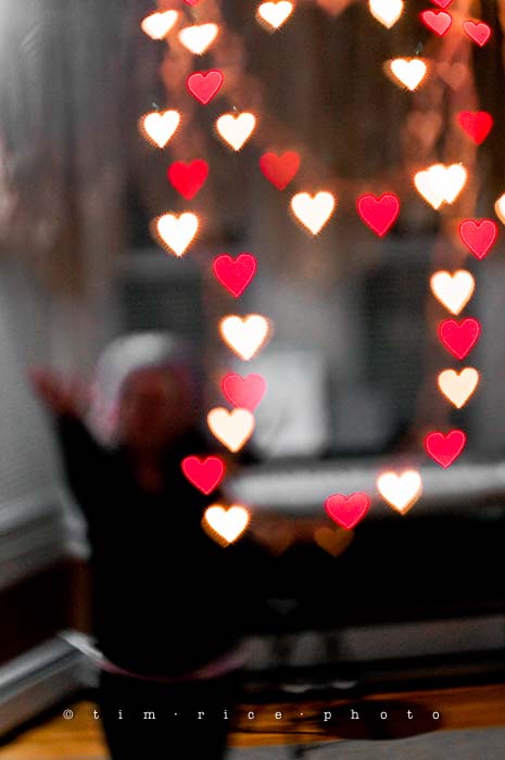 Yr5•137-365•1598•To The Heart-4