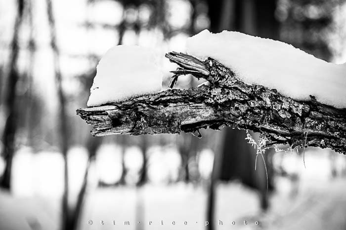 Yr5•138-365•1593•A Winter Falls