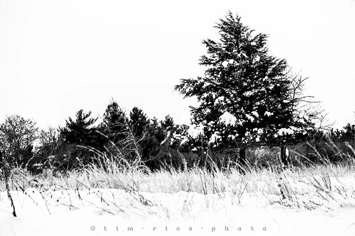 Yr5•139-365•1593•A Winter Falls