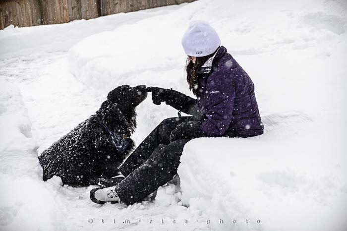 Yr5•139-365•1599•Snow Dog