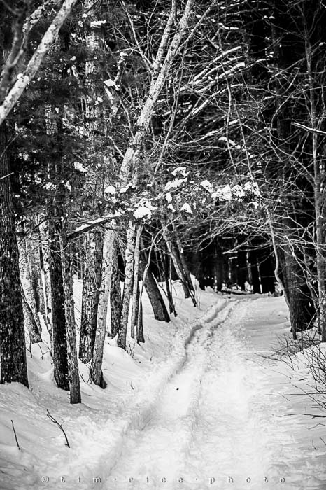 Yr5•140-365•1593•A Winter Falls