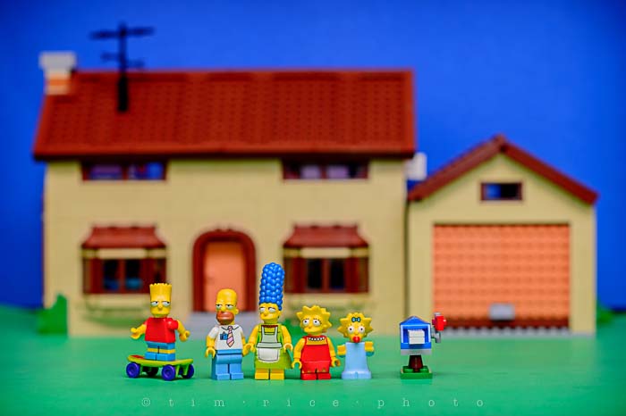 Yr5•140/365•1601 The Simpsons February 17, 2014