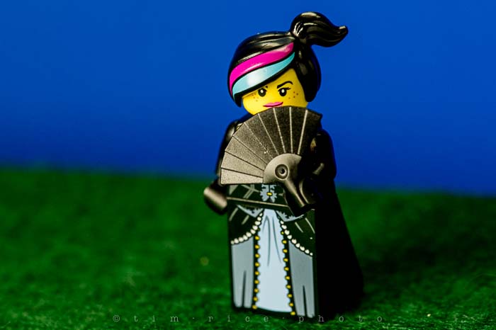 Yr5•141-365•1591•The Panda Guy