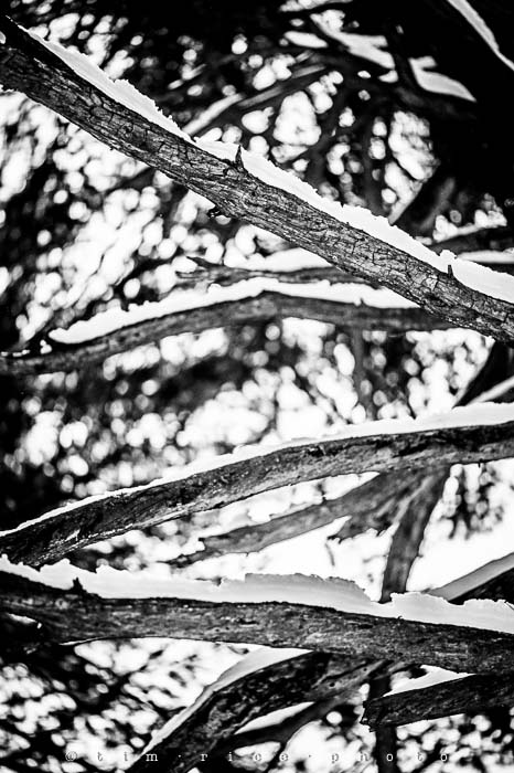 Yr5•141-365•1593•A Winter Falls