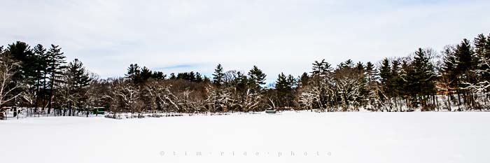 Yr5•141-365•1600•Choate in Snow-