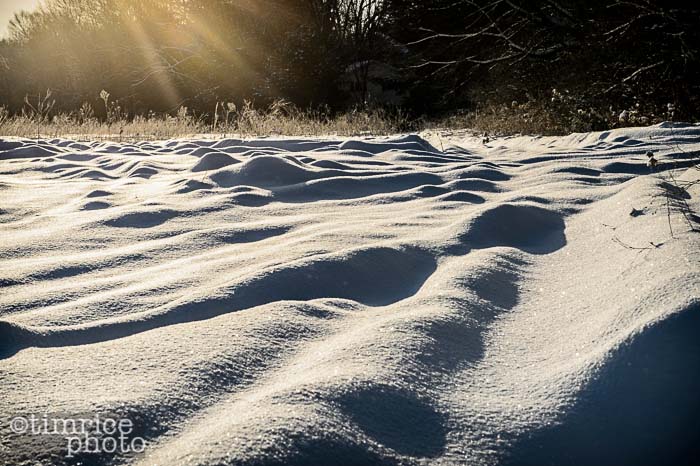 Yr5•142/365•1602 February Morn February 19, 2014