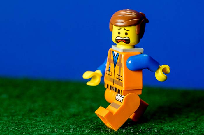 Yr5•144-365•1591•The Panda Guy