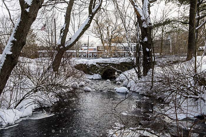 Yr5•144-365•1600•Choate in Snow-