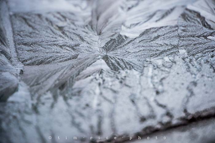 Yr5•144-365•1603•Mother Nature's Roshak_