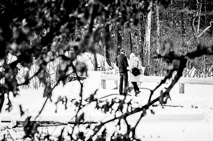 Yr5•145-365•1593•A Winter Falls