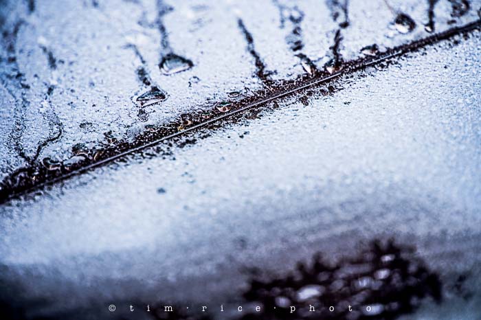 Yr5•145-365•1603•Mother Nature's Roshak_