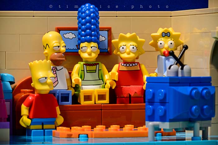 Yr5•146-365•1607•El Barto