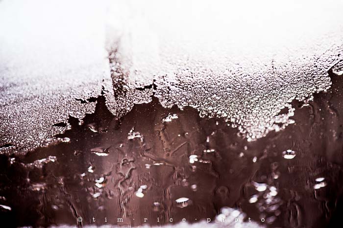 Yr5•147-365•1603•Mother Nature's Roshak_