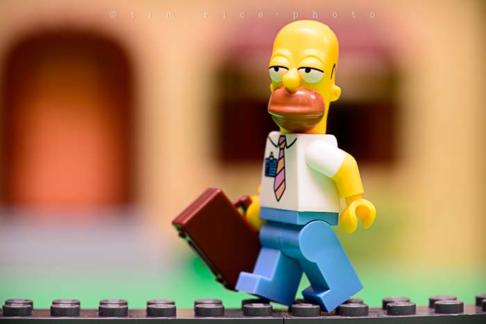 Yr5•147-365•1607•El Barto