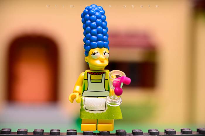 Yr5•148-365•1607•El Barto