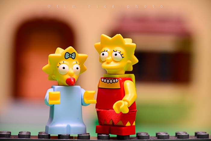 Yr5•149-365•1607•El Barto